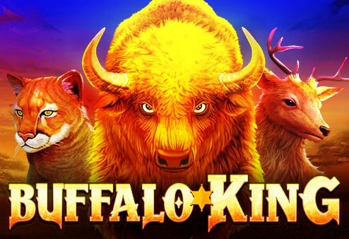 Buffalo King สัตว์ป่าที่ต้องหาจ่าฝูงเพื่อควบคุมเงินรางวัลก้อนยักษ์